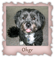 Ohgr