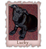Lucky